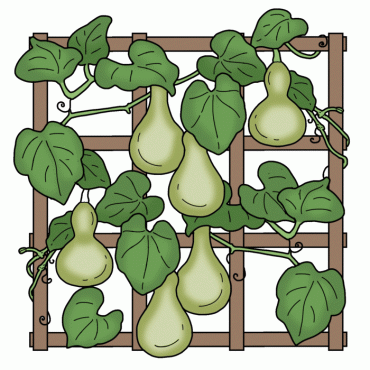 Gourds: Birdhouse