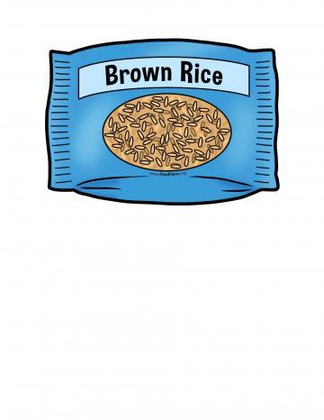 Brown Rice Illustration 