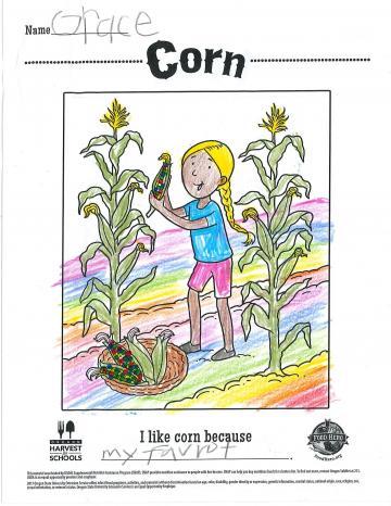 Colored In Corn Coloring Sheet