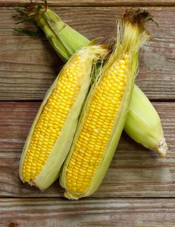 Image of Corn 