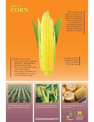 Corn Oregon Harvest Poster