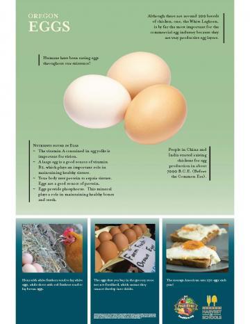 Eggs Oregon Harvest Poster