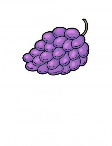 Grapes Illustration