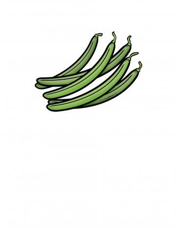 Green Bean Illustration 