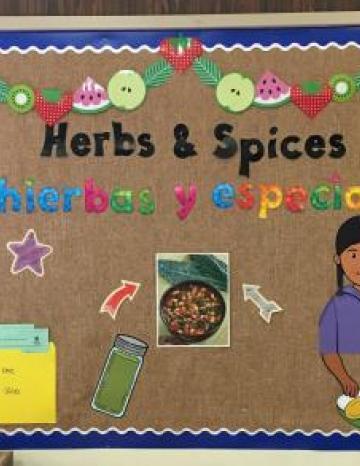 Herbs and Spices Bulletin Board Example