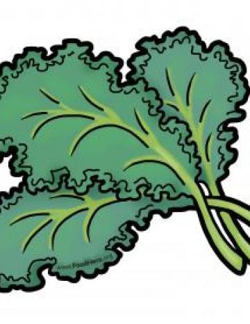 Kale Illustration