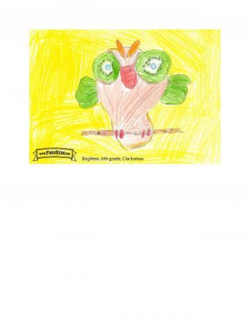 Kids Art Winners - Kiwi