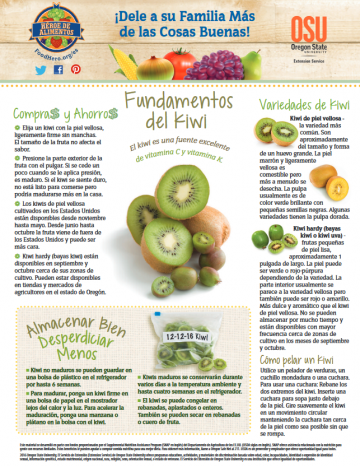 Fundamentos Del Kiwi