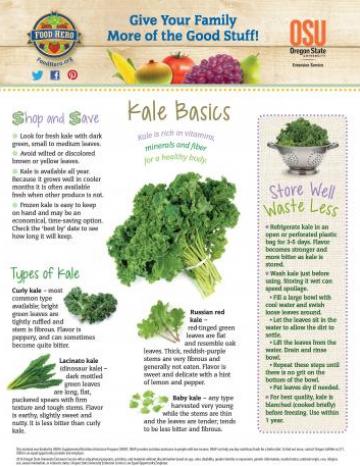 Kale Monthly Magazine