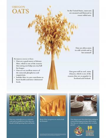 Oats Product Poster