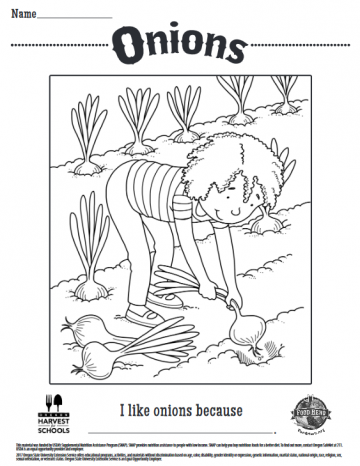 Onions Coloring Sheet