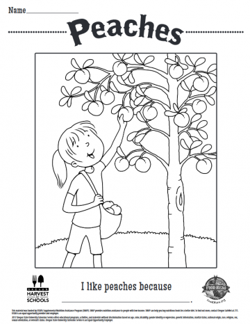 Peaches Coloring Sheet