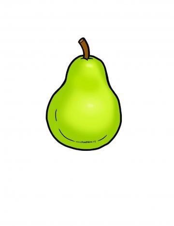 Pears Illustration