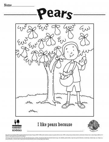 Pears Coloring Sheet