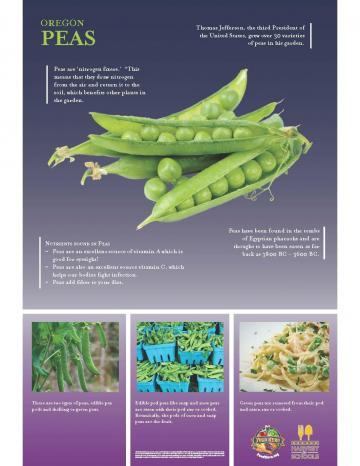 Peas Oregon Harvest Poster
