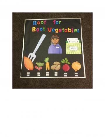 Root Vegetable Bulletin Board