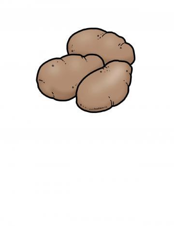 Potato Illustration