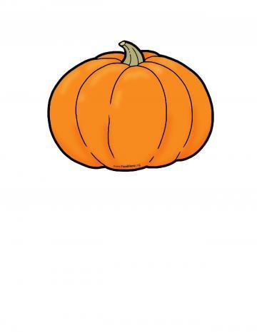 Pumpkin Color Illustration