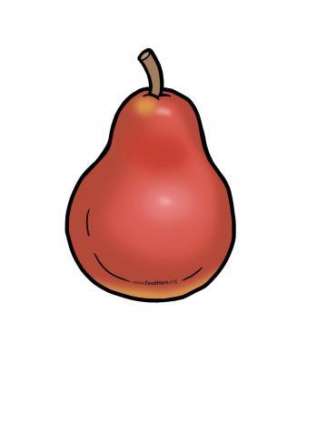 Pears Illustration