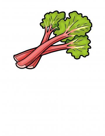 Rhubarb Illustration