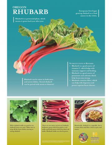 Rhubarb Oregon Harvest Poster