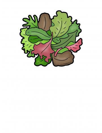 Salad Greens Illustration