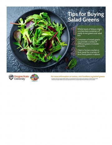 Salad Greens Infographic