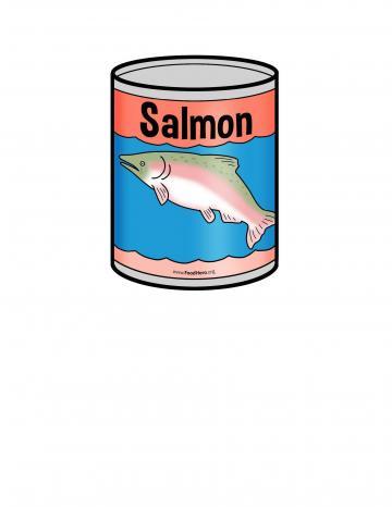 Salmon Illustration
