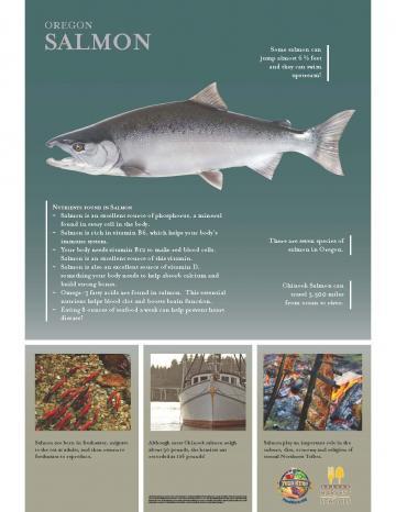 Salmon Oregon Harvest Poster