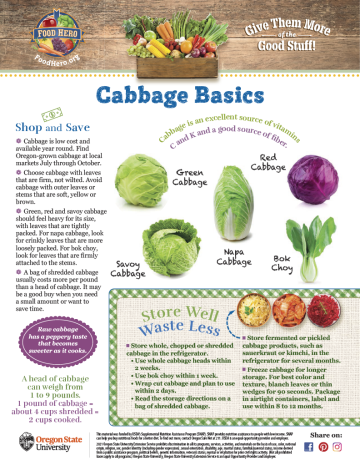 Cabbage Monthly Magazine