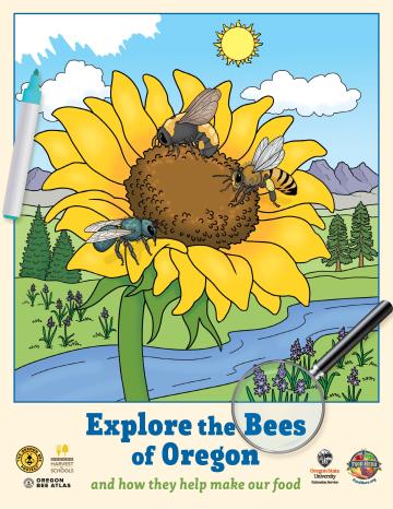 Explore the Bees of Oregon - Discovery Book