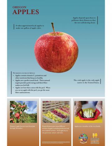 Apples Oregon Harvest Poster