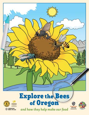 Explore the Bees of Oregon