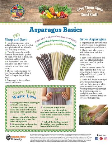 image of first page Asparagus Basics monthly magazine