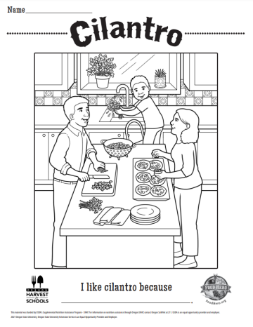 Cilantro Coloring Page