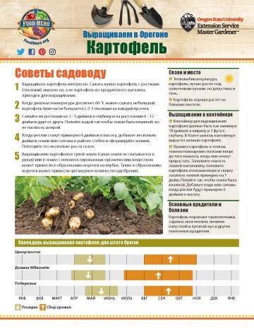 Garden Monthly Potatoes Russian