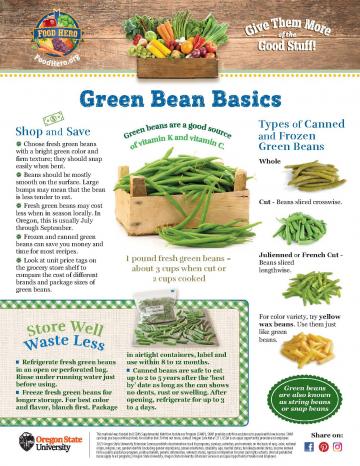 Green Bean Monthly Magazine
