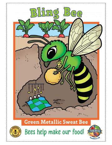 Green Metallic Sweat Bee Trading Card