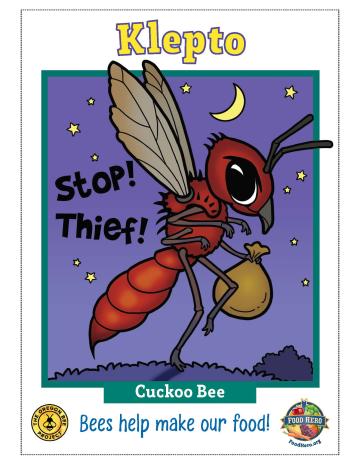 Cuckoo Bee Trading Card