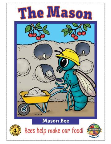 Mason Bee Trading Card