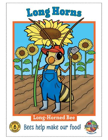 Long-Horned Bee Trading Card