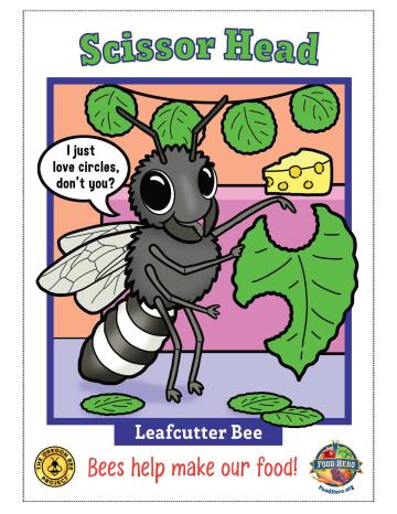 Leafcutter Bee Trading Card