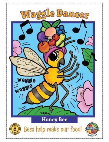 Honey Bee Trading Card