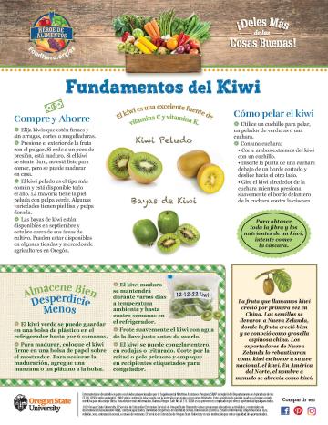 Kiwi Últimos consejos Alimentos