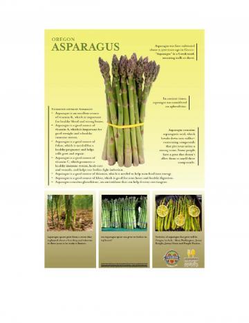 Asparagus Oregon Harvest Poster