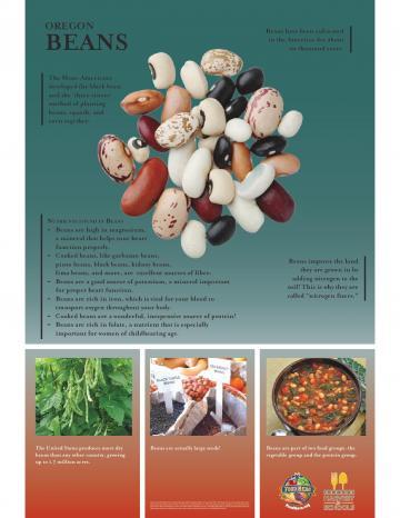 Beans Oregon Harvest Poster