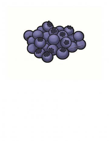 Blueberries Illustration