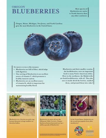 Blueberries Oregon Harvest Poster
