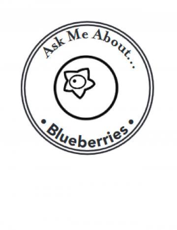 Blueberries Handstamp