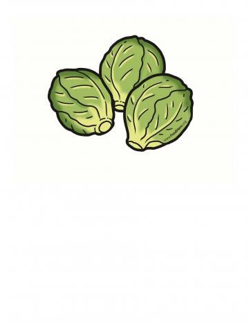 Brussels Sprouts Illustration